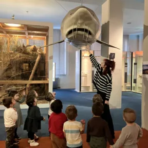 Dinosaur Trip to Museum