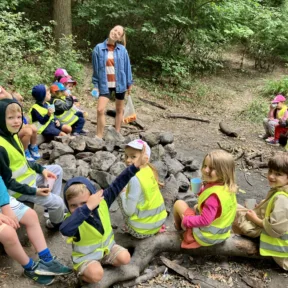 Forest Adventure