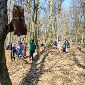 Forest school with CIS
