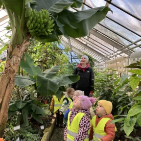 I Spy - Botanical Garden