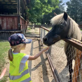 Trip to Farm