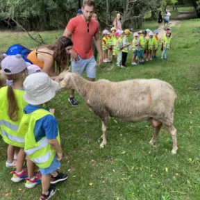 Trip to Farm