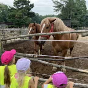 Trip to Farm