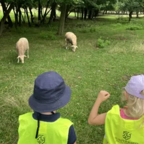 Trip to Farm