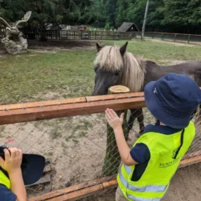 Trip to Farm