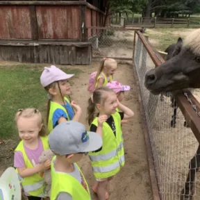 Trip to Farm