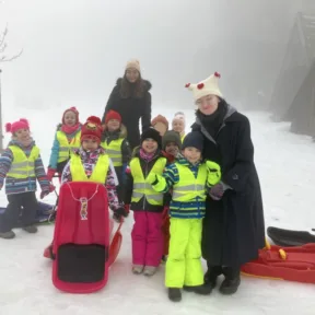 Sledging fun