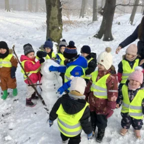 Sledging fun