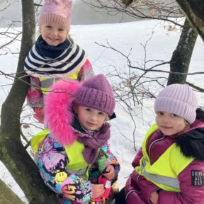 Sledging fun