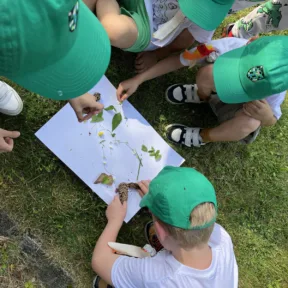 Summer camp