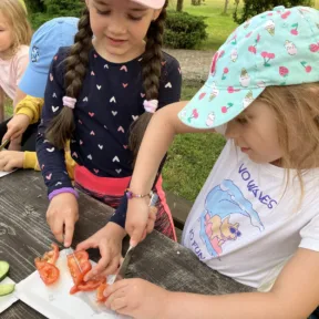 Summer camp