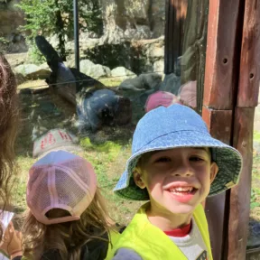 Zoo a Malkia park