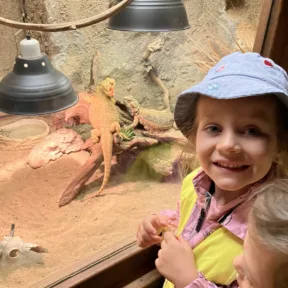 Zoo a Malkia park