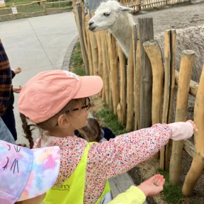Zoo a Malkia park