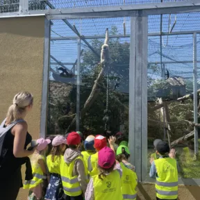 Zoo a Malkia park