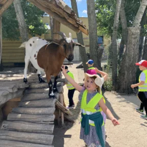 Zoo a Malkia park