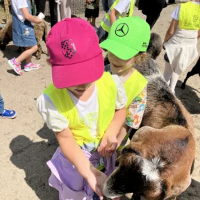 Zoo a Malkia park