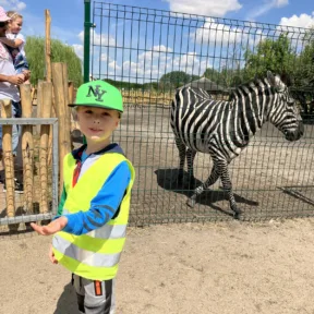 Zoo a Malkia park