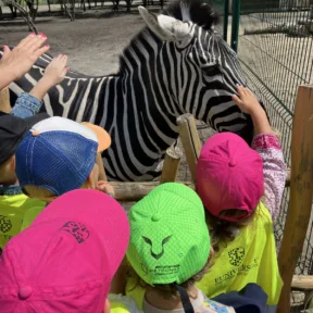 Zoo a Malkia park