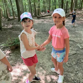 Forest Adventures