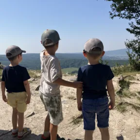 Forest Adventures