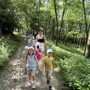 Forest Adventures
