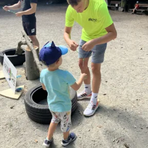 Forest Adventures