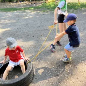 Forest Adventures