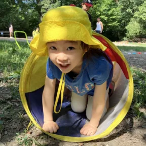 Forest Adventures