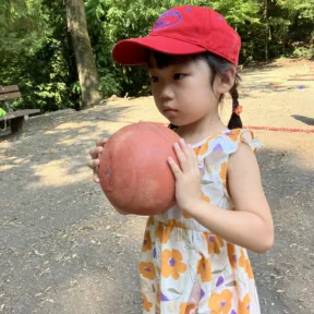 Forest Adventures