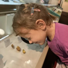 Trip to Museum
