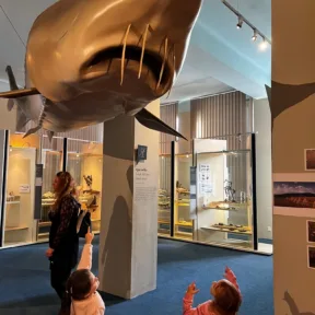Trip to Museum