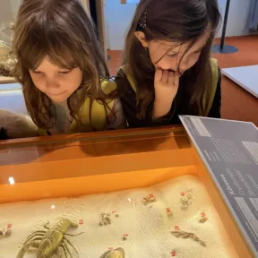 Trip to Museum