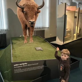 Trip to Museum
