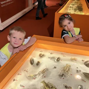 Trip to Museum