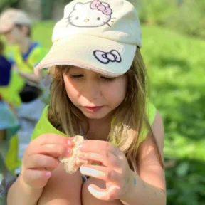 Teambuildingový piknik