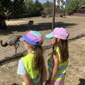 We Love Animals