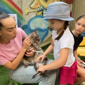 We Love Animals