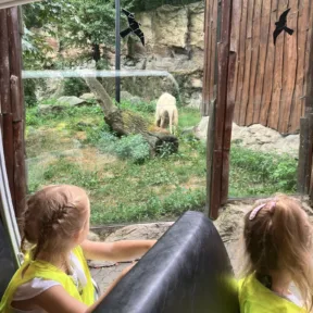 We Love Animals