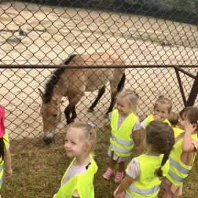 We Love Animals