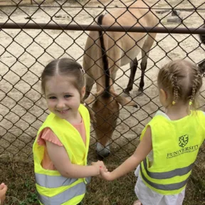 We Love Animals
