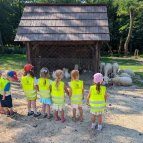 Animal Friends