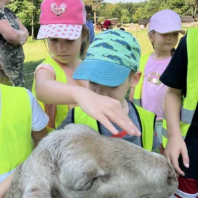 Animal Friends