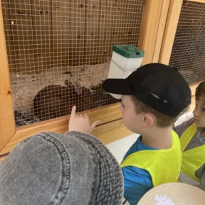 Animal Friends