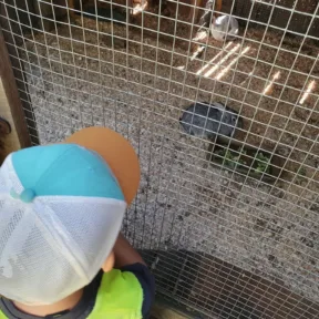 Animal Friends
