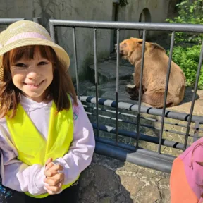 Animal Friends