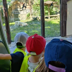 Animal Friends