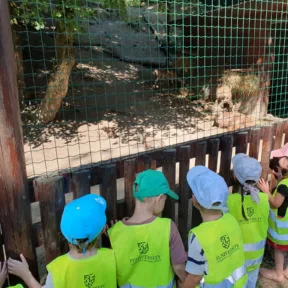 Animal Friends