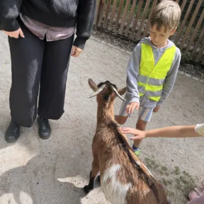 Animal Friends
