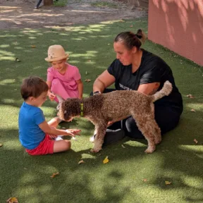 Animal Friends